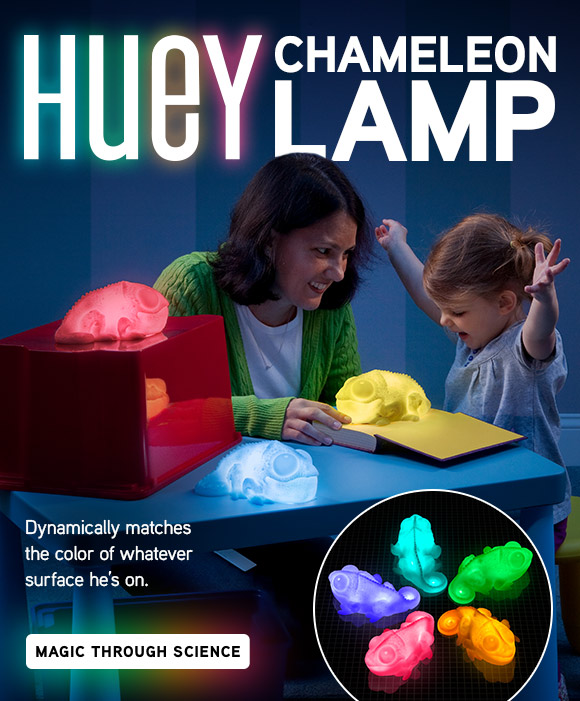 Huey the Color Copying Chameleon Lamp!