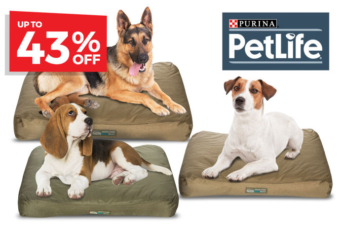 LATEST Samsonite Cosmolite 3.0 Spinner Suitcases – Under HALF PRICE | Purina PetLife Loungers – up to 43% OFF