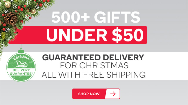 500+ Gifts under $50 with FREE Shipping before Christmas!
