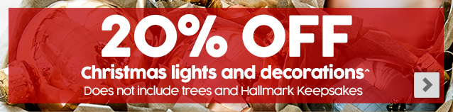 20% off Christmas lights and decorations