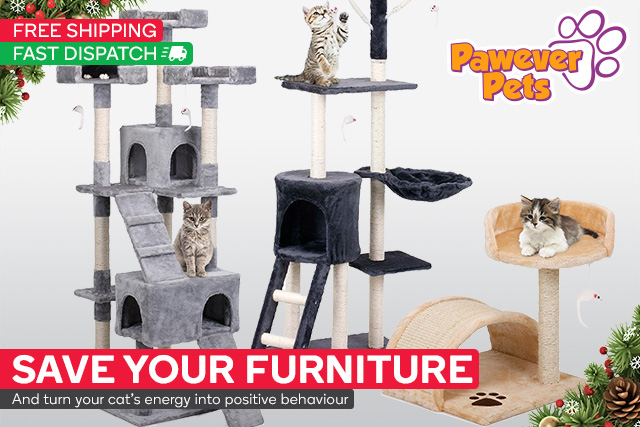 Cat Scratching Posts from $39 | Pet Pressies from $5