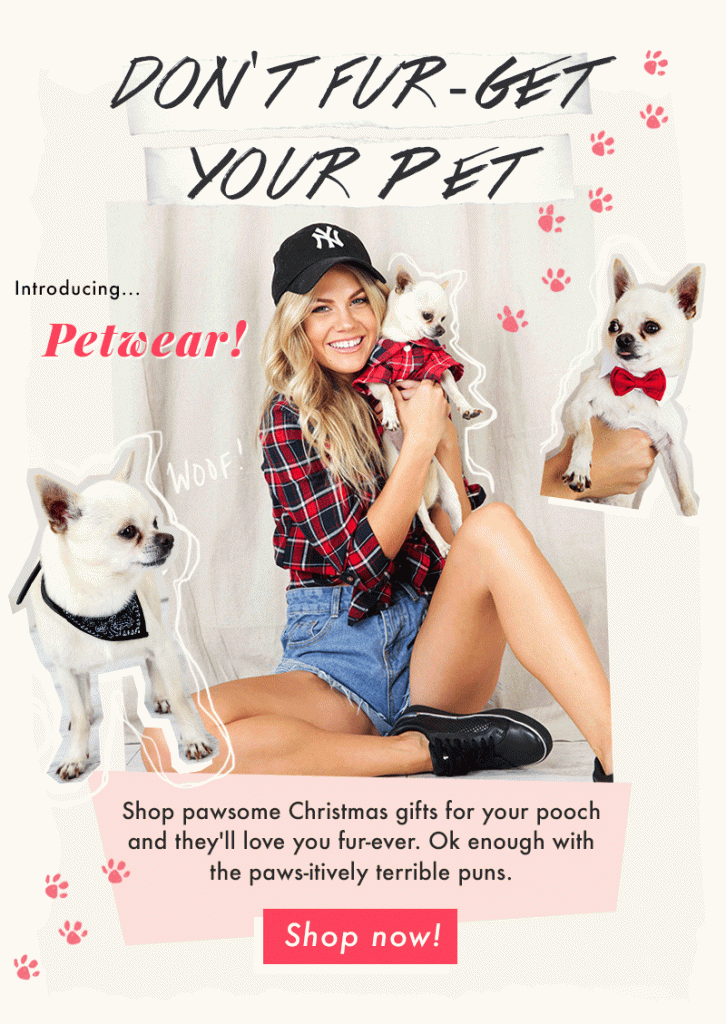 Don’t Fur-get Your Pet!