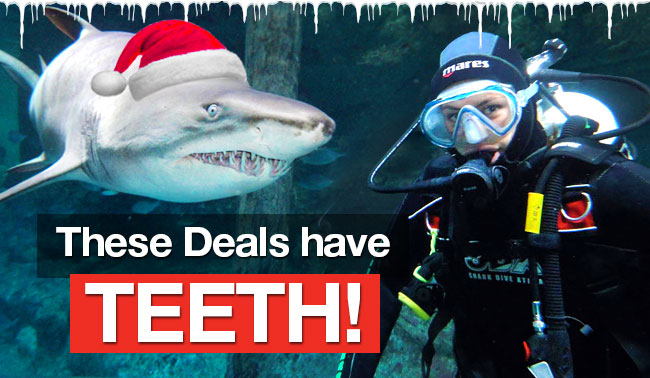 These Deals have TEETH