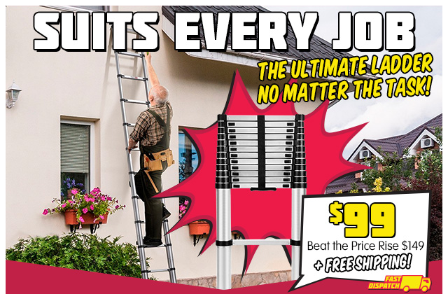 3.8m Ladder $99 + Free Shipping!