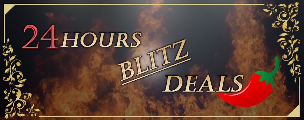 24 Hours Blitz Deals | LAST CHANCE – 10th Anniversary Sale with $10 Bargains