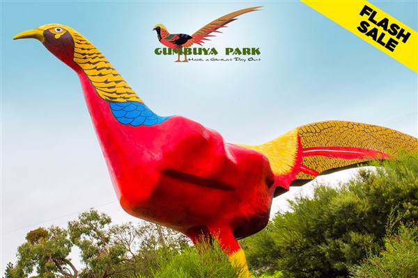 $10 Gumbuya Park Day Pass – Extended for a Limited Time!