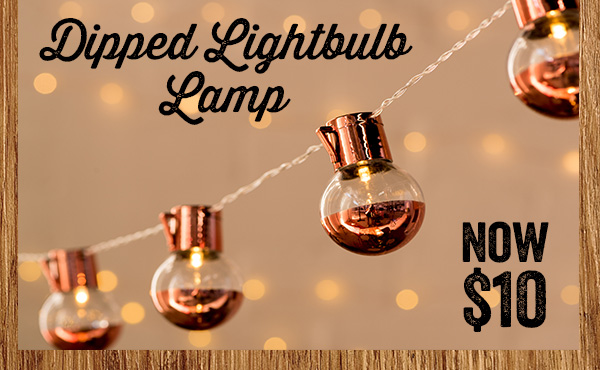 DIPPED LIGHT BULB LANTERNS $10