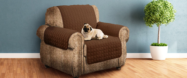 Life-Proof Sofa Covers From $25