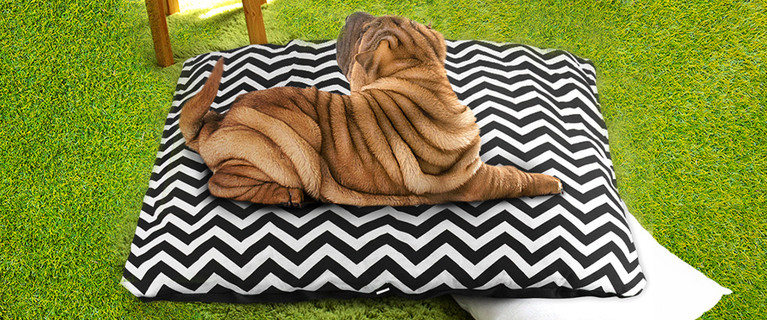 Keep Your Pooch or Cat Warm On the Chillier Winter Days. From $29