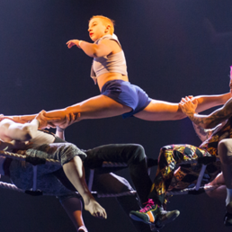 Experience the New Circus Oz Show ‘Model Citizens’ with A-Reserve Tickets Starting from $18* or Premium Tickets Starting from $24* (Valued Up To $65)