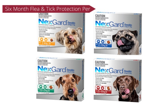 From $62 for a Nexgard Flea and Tick Chews (Don’t Pay up to $220)