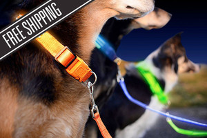 Keep Your Pet Visible While Out at Night with a Rechargeable LED Pet Collar and Leash! Featuring a Clip On/Off Buckle and Available in Four Adjustable Sizes. From Only $9 with Delivery Included