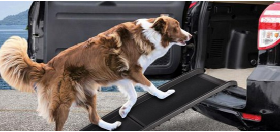 $69 for a Folding Portable Dog Ramp