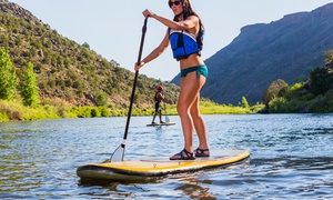 One-Hour Paddle Board Hire for One ($12.50), Two ($25) or Four ($50)