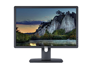 Dell Professional 22″ LED Monitor for $119