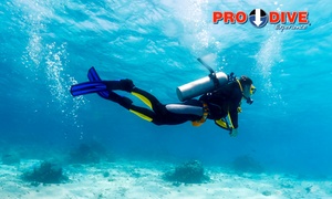 Open Water Dive Course on a Weekday ($149) or Weekend ($199)