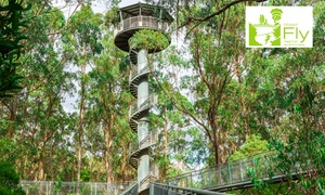 Otway Fly Treetop Walk 2-for-1 Offer