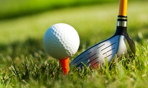 9 ($29) or 18 Holes of Golf ($49) + Shared Cart and Drinks for 2 at Castlecove Country Club