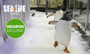 SEA LIFE Sydney Aquarium Entry with Meal Package – Child ($25) or Adult ($35)