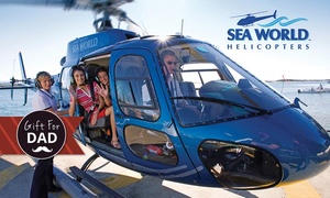 Sea World Scenic Helicopter Flight from $45