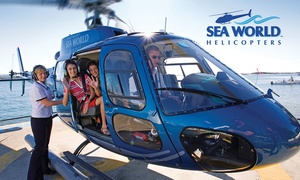 Sea World Scenic Helicopter Flight from $45