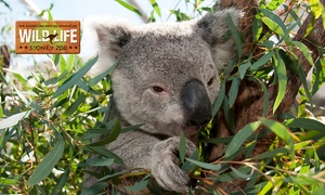 WILD LIFE Sydney Zoo 2-for-1 Offer – Two Adults for $42 and Two Children for $28