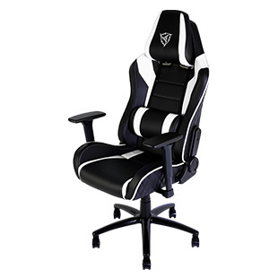 ThunderX3 TGC30 Gaming Chair for $339