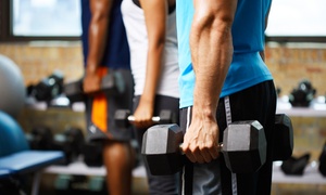 One-Month Unlimited Gym Access for One ($19)