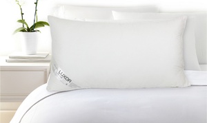 King Size Hotel Quality Pillow: One ($29) or Two ($49) (Don’t Pay up to $129)