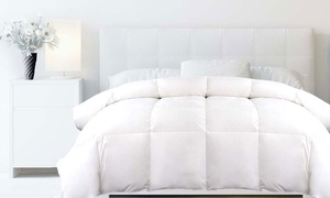 From $44 for a Microfibre Lightweight Quilt in Choice of Size