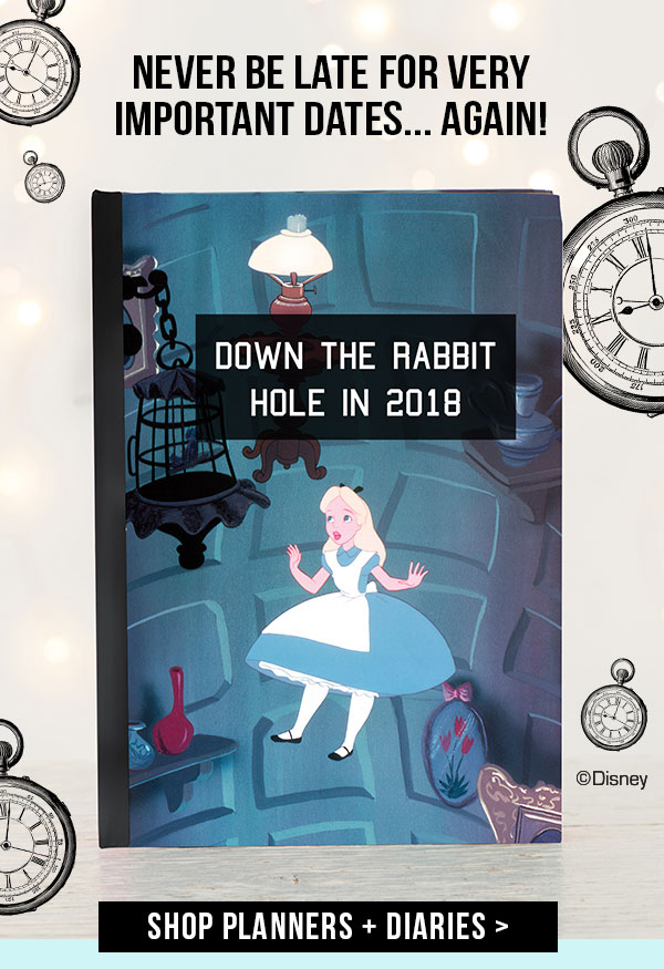 2018 Disney diaries. Tick tock! Get them before they’re gone..