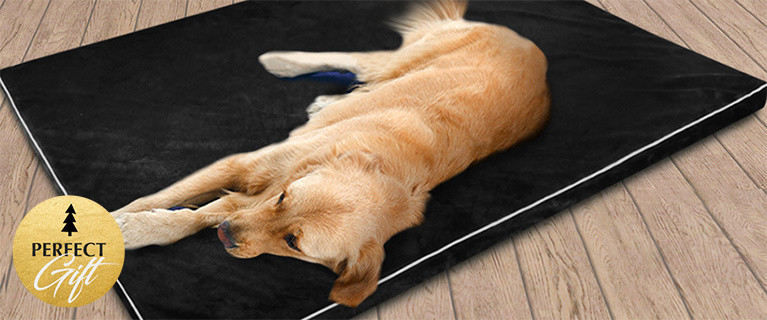 Memory Foam Pet Beds. From $29