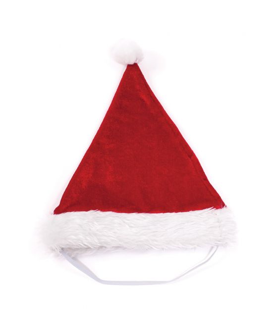 Get your pooch into the Christmas Spirit with the Kazoo Christmas Small Santa Hat NOW $4.04 (was $4.49)