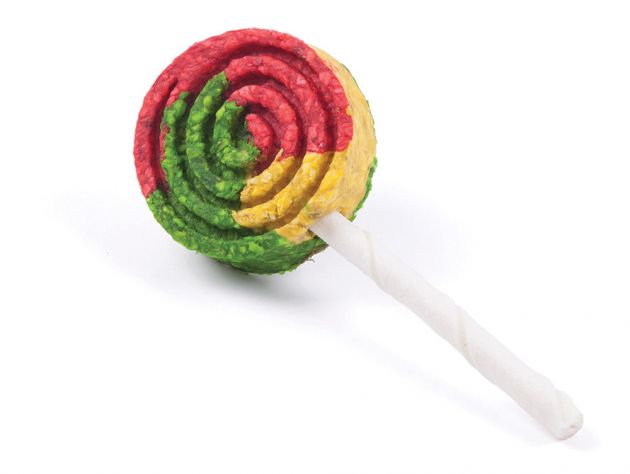 Treat your dog these holidays with the Kazoo Christmas Rawhide Chew Lollipop ONLY $4.04 (was $4.49)