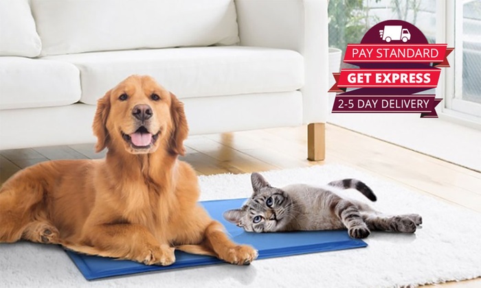 One ($19) or Two ($28) Large Pet Cooling Mats (Don’t Pay Up to $138