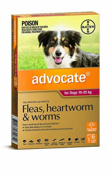 Advocate Flea, Heartworm and Worm Treatment for Dogs 10-25kg FROM $24.99