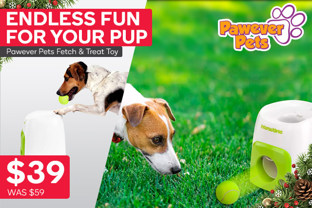 Pet Toys for Good Boys & Girls ?  Up to 52% Off