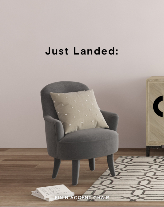 Einin Accent Chair only $399.00 (not  $1199)
