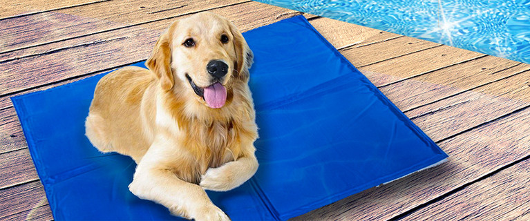 Pet Cooling Pad.  From Only $15