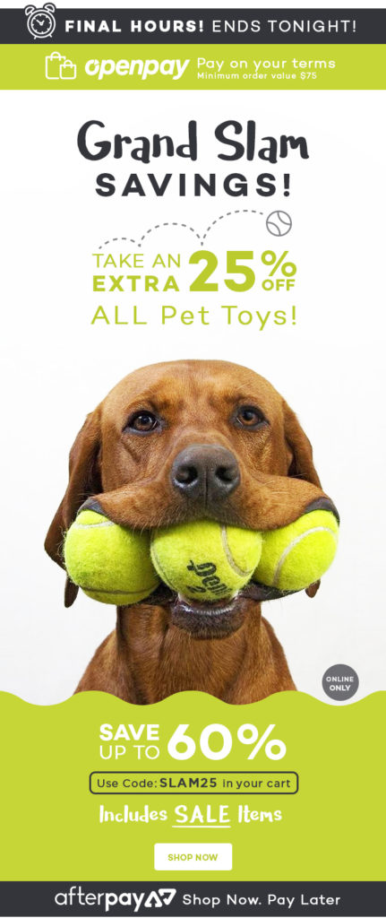 Ends tonight! An extra 25% off all pet toys!  From $9.99