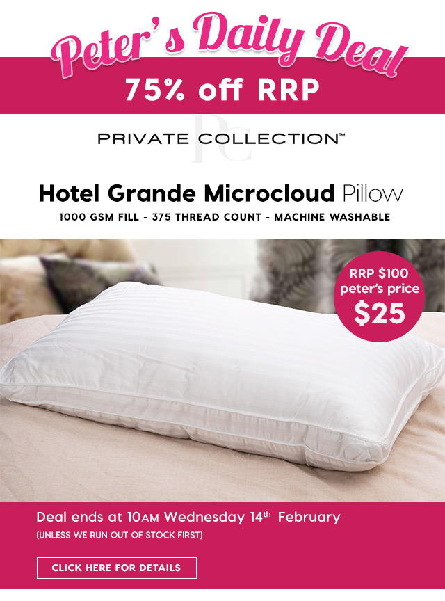75% off RRP – Private Collection Micro-Cloud Pillow. Peter’s Price $25