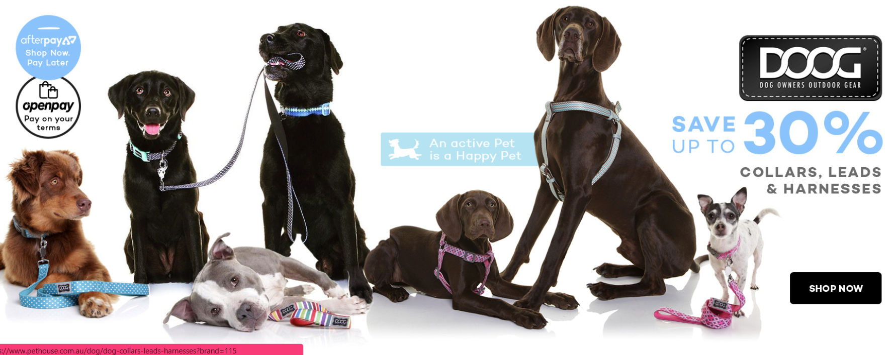 DOG COLLARS, LEADS & HARNESSES UP TO 30% OFF | FROM $11