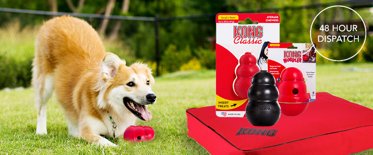 Chew Toy Range and Dog Bed Sale from Kong! It’s Time to Pamper Your Pooch From Just $13