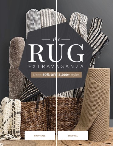 It’s rug season! Save big with up to 30% off 5,000+ rug styles! From $70