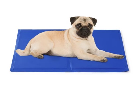 Pawever Pets Cooling Mat (Small) $49 + FREE SHIPPING