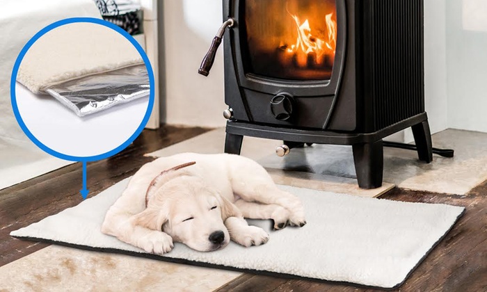 $19 for a Self-Heating Pet Bed (Don’t Pay $79)