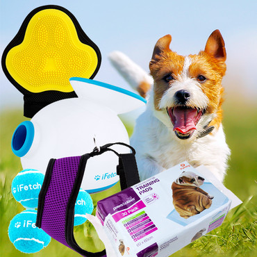 Stock Up On Your Furry Friend’s Favourite Essentials with this Pet Accessories Sale! From $5