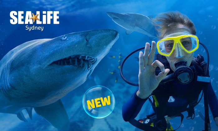 $299 for a Shark Dive Xtreme for One Person at SEA LIFE Sydney Aquarium