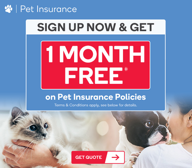 1 Month FREE Pet Insurance – Join Before June 18th!