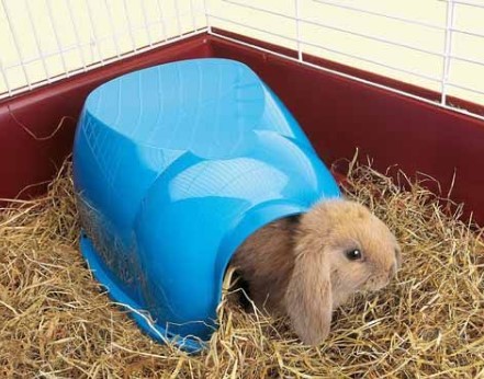 FURTHER 20% off | Savic Cocoon Small Animal House Medium $19.99